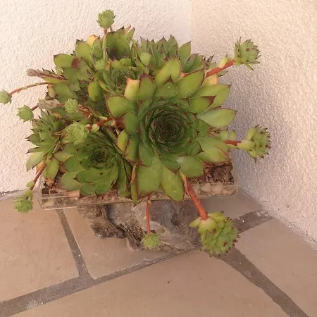 Bella Vista Apartamento