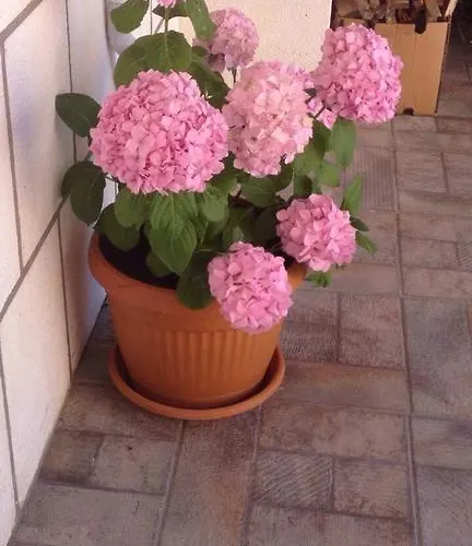 Apartmán Bella Vista Lumbarda